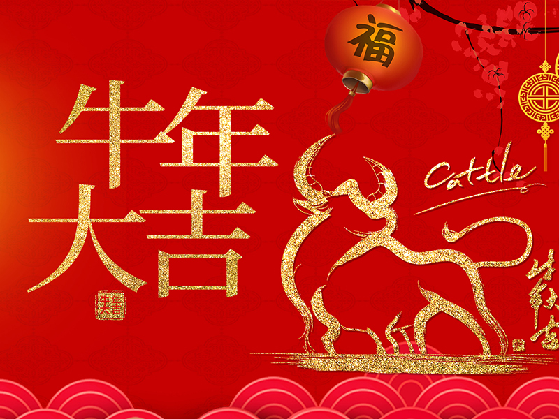 扬州晨化新材料股份有限公司祝大家新年快乐！